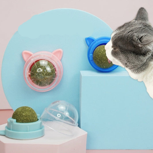 Pet Catnip Ball Toys
