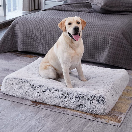 Long Plush Bed For Dogs
